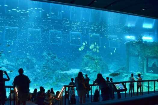 Underwater World Aquarium – Port Blair Underwater World Aquarium – Port Blair