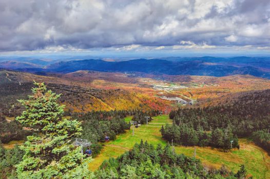 Vermont’s Green Mountains, Crystal Brook Path Vermont’s Green Mountains, Crystal Brook Path