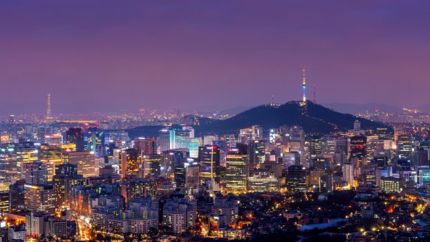Violet Korea Violet Korea