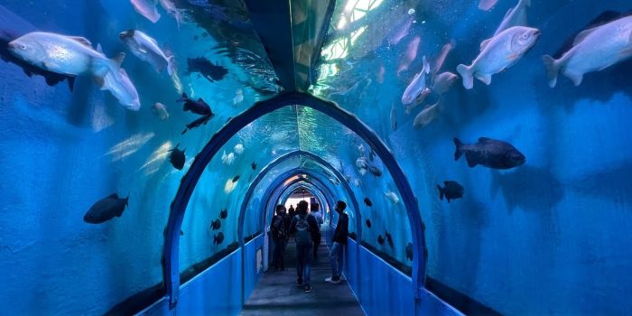 Vizag Fish World Vizag Fish World