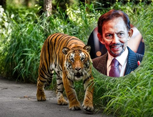 Why is the Sultan of Brunei so rich