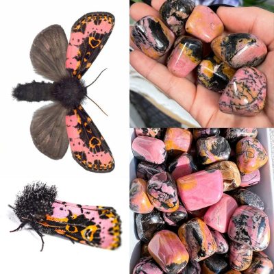 Spanish Moth vs. Rhodonite