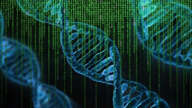 AI in DNA AI in DNA