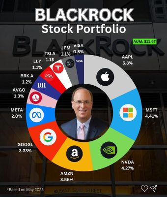 BlackRock Stock Portofolio
