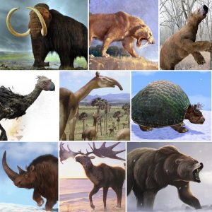 Top 15 ice age animal and there facts