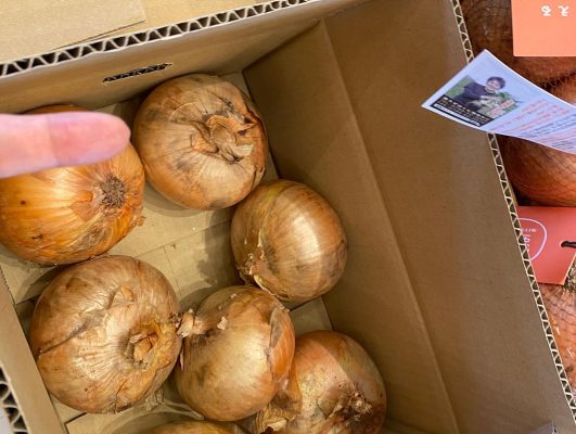 onions of Onion Island in Japan